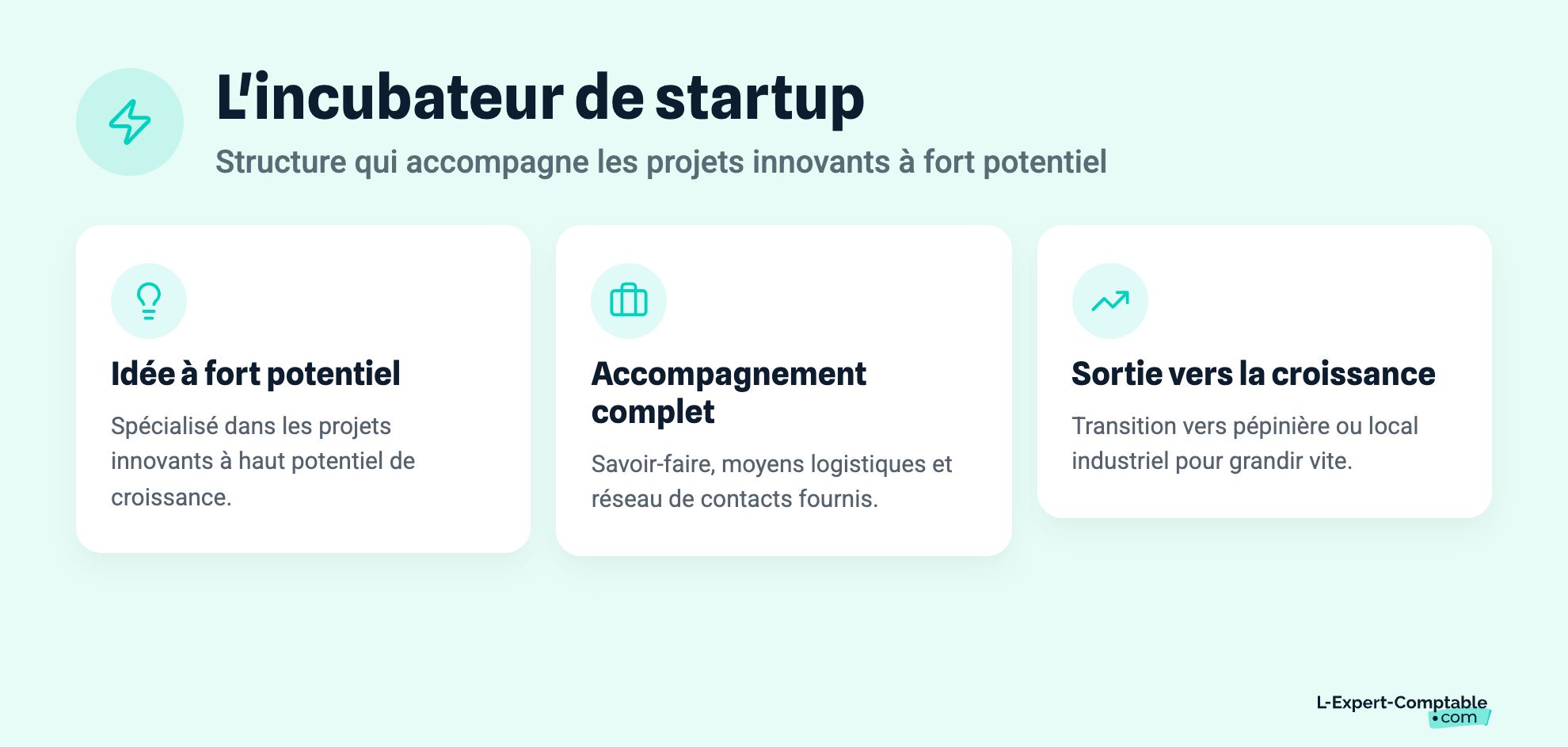 L'incubateur de startup